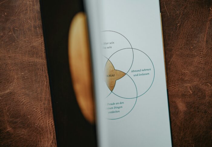 Un ikigai pragmatique