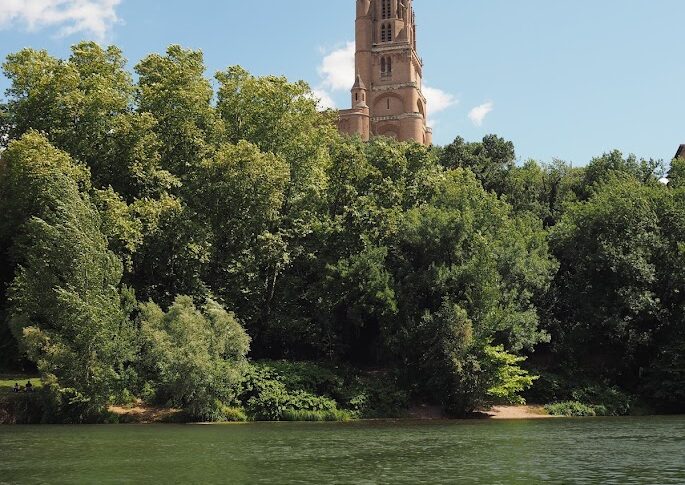 Albi la verte